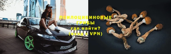 прущие крисы Абинск