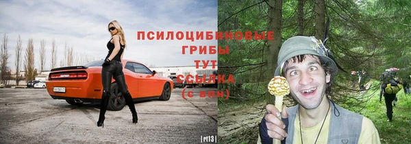 прущие крисы Абинск