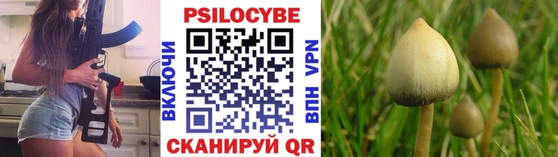 Псилоцибиновые грибы MAGIC MUSHROOMS Туапсе