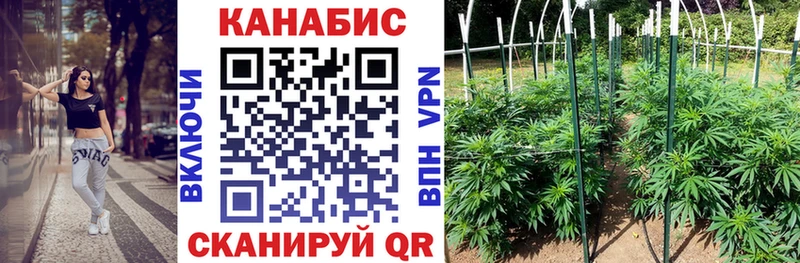 Шишки марихуана планчик Туапсе